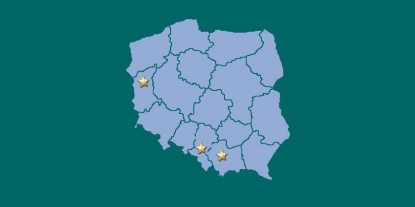 Niepokonane w 2017 roku