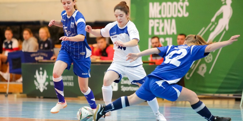 Komplet finalistów AMP