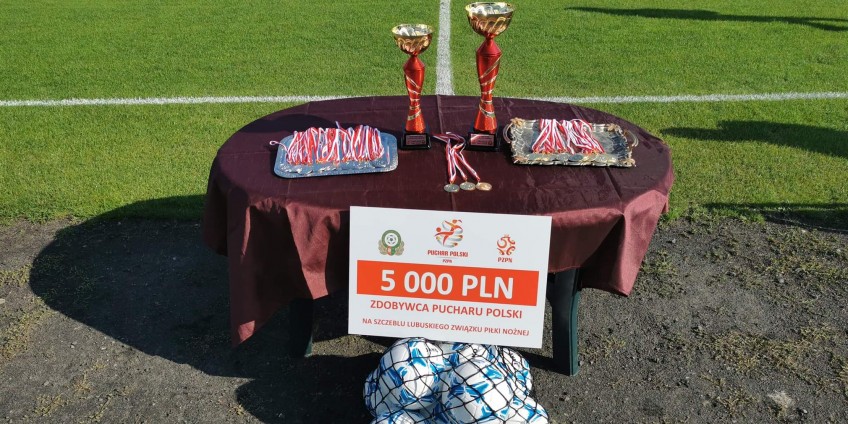 Wojewódzcy triumfatorzy PP