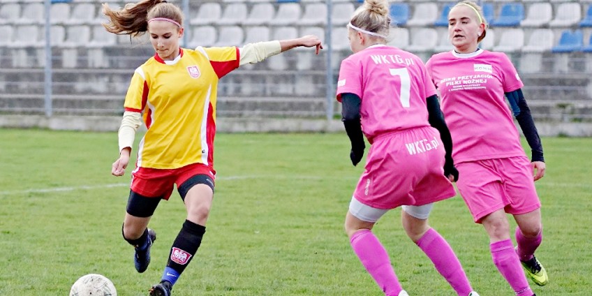 Pół Podkowy. Tuzin Ślęzy