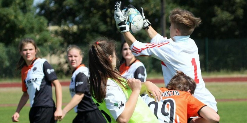 Wyższe kujawsko-pomorskie 