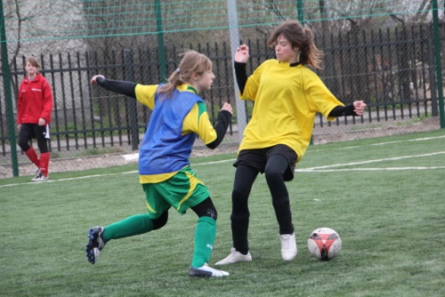 Zabkovia