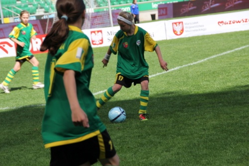 Zabkovia