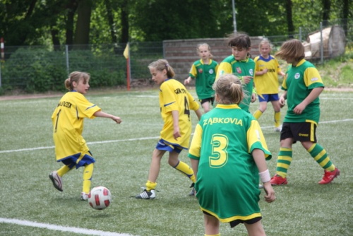 Wielgus