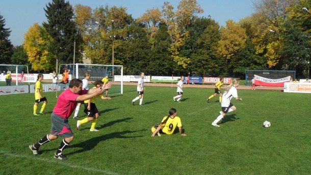 Tygryski Orlik