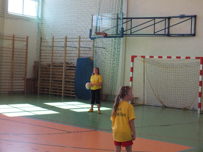 Sparing Zabkovia