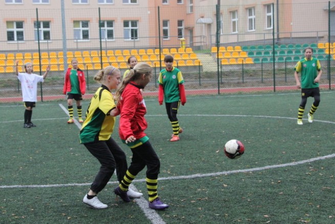 Zabkovia