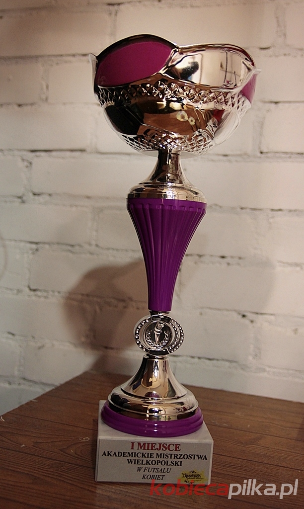 Akademickie Mistrzostwa Wielkopolski